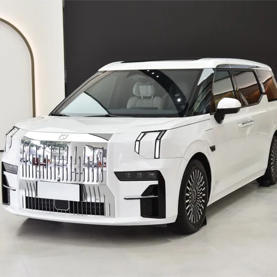 China Brand 009 EV 7 Seats Luxury MPV Passenger Electric Vehicle 