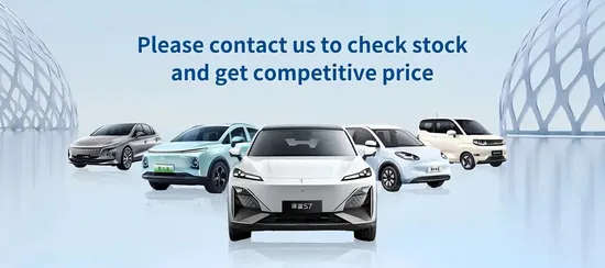 2025 Luxury Byd Song Plus Dm
