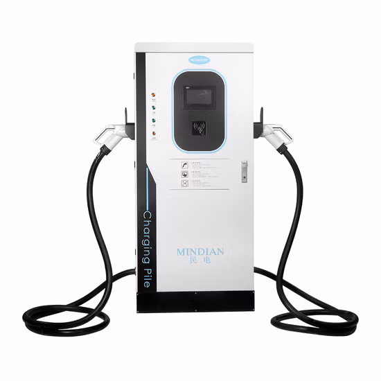 Electric Car DC Fast Charger 30kw 40kw 60kw Double Guns Floor