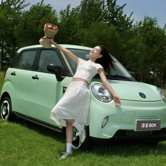 New Car Cheapest Price Small Electric Vehicles Electric Car 